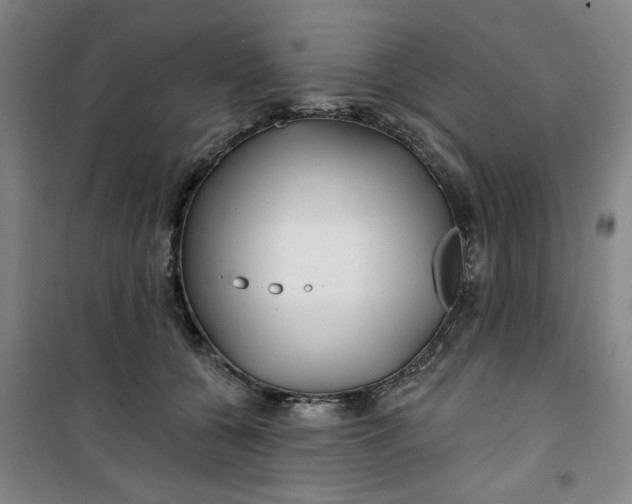 X0000100970560200807151354