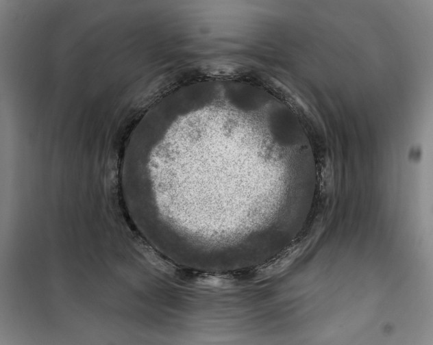 X0000100970561200807151354
