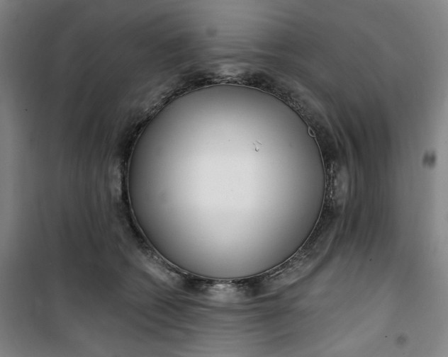 X0000100970562200807151354