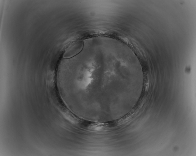 X0000100970563200807151354
