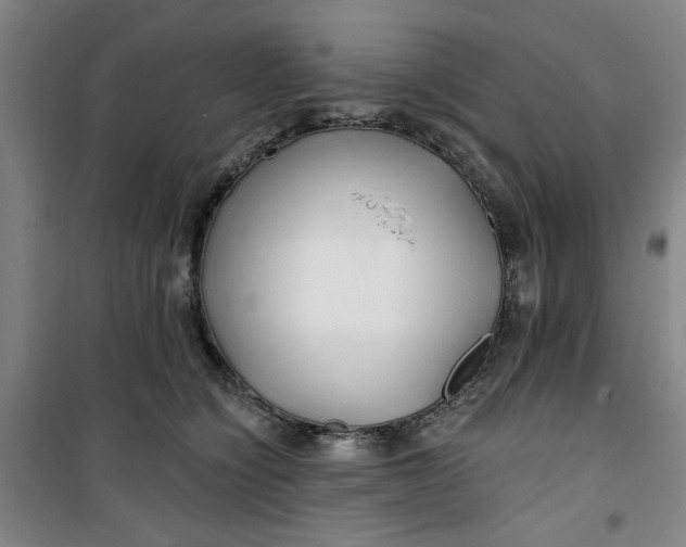 X0000100970564200807151354
