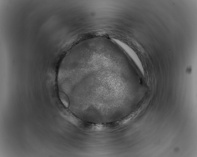 X0000100970565200807151354