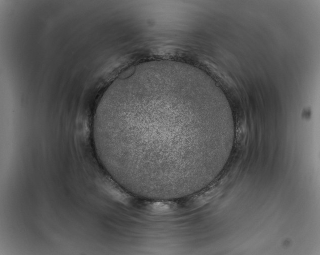 X0000100970566200807151354