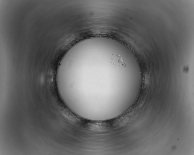 X0000100970567200807151354