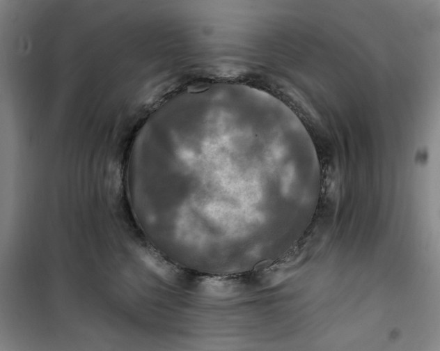 X0000100970568200807151354