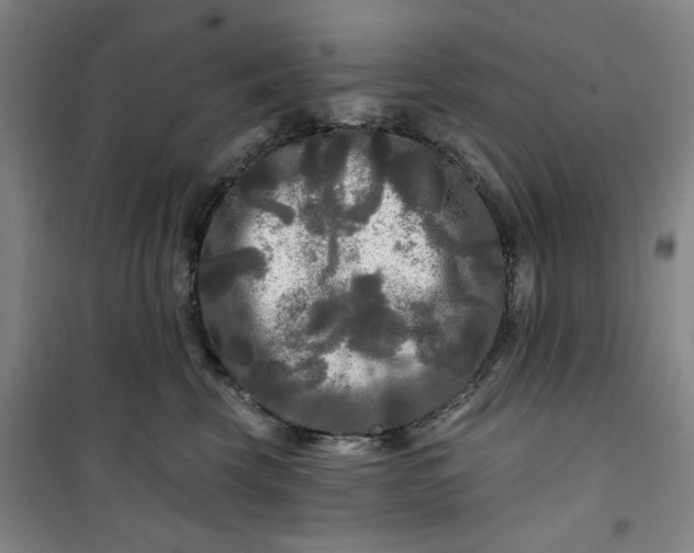 X0000100970569200807151354