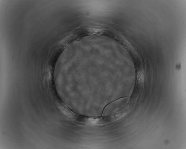 X0000100970570200807151354