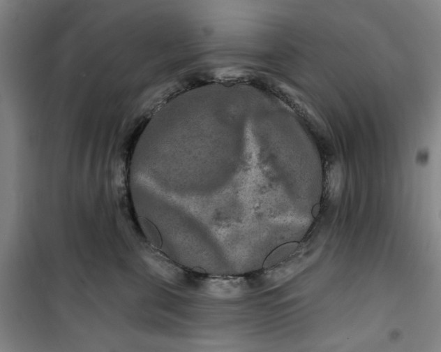 X0000100970571200807151354