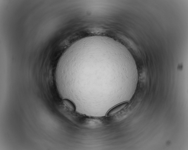 X0000100970572200807151354