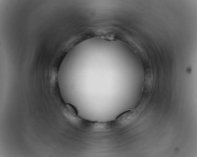 X0000100970574200807151354
