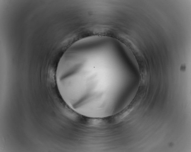 X0000100970575200807151354