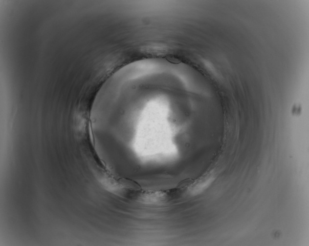X0000100970576200807151354