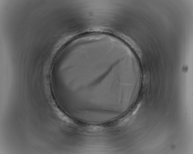 X0000100970577200807151353