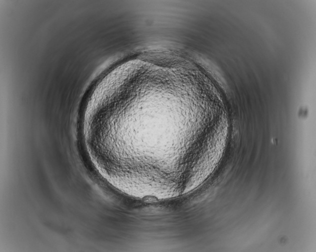 X0000100970578200807151353
