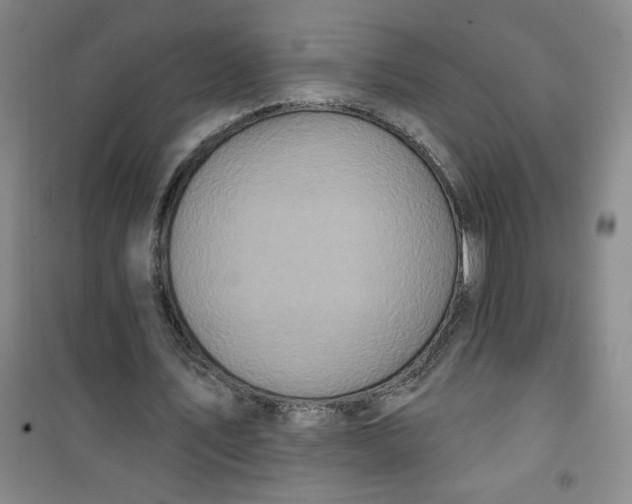 X0000100970579200807151353