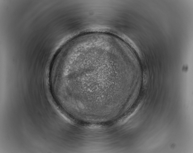 X0000100970581200807151353