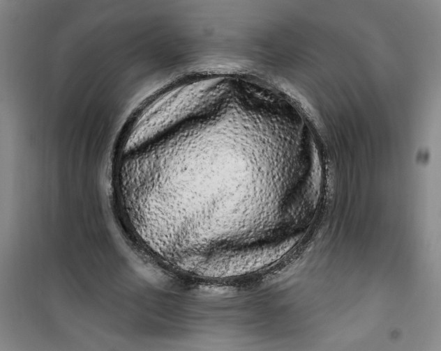 X0000100970582200807151353