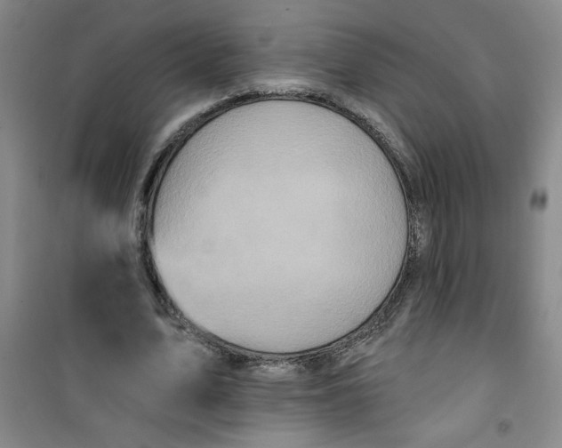 X0000100970583200807151353