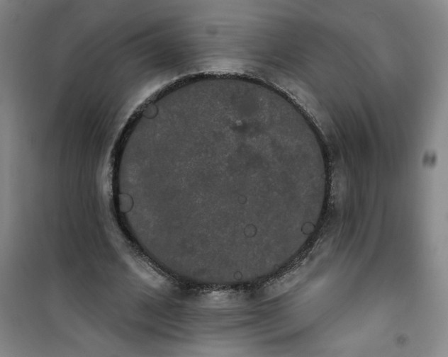 X0000100970584200807151353