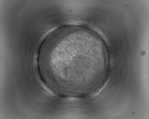 X0000100970585200807151353