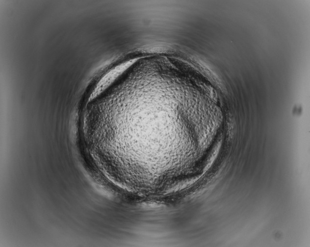 X0000100970586200807151353