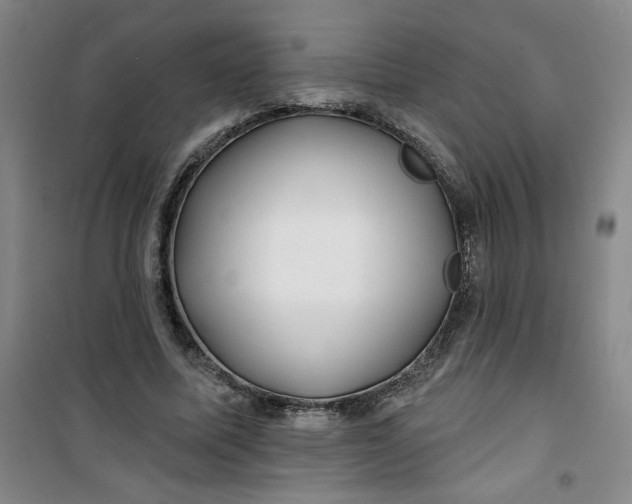 X0000100970587200807151353