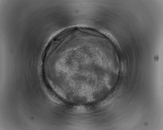 X0000100970588200807151353