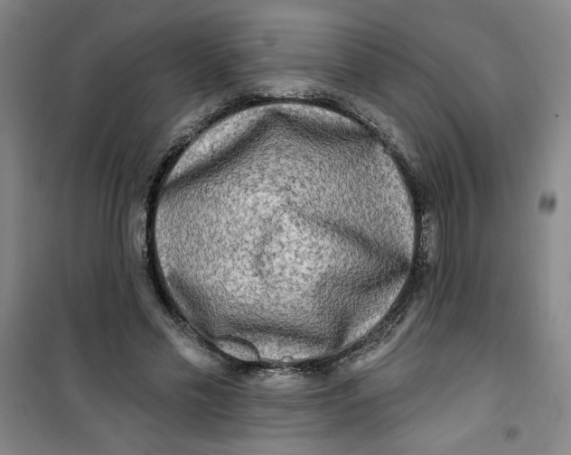 X0000100970589200807151353