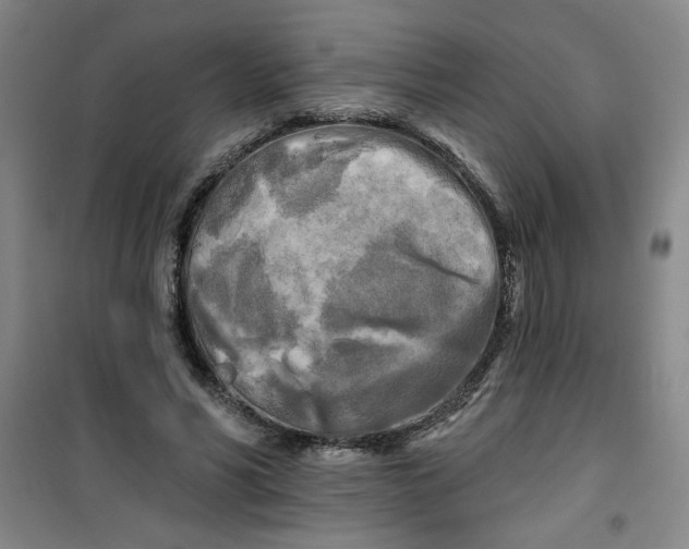 X0000100970590200807151353