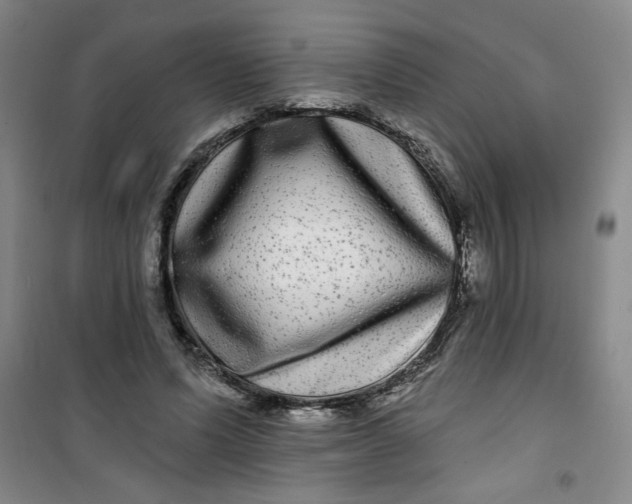 X0000100970591200807151353