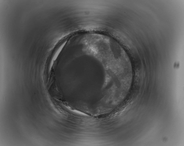 X0000100970592200807151353
