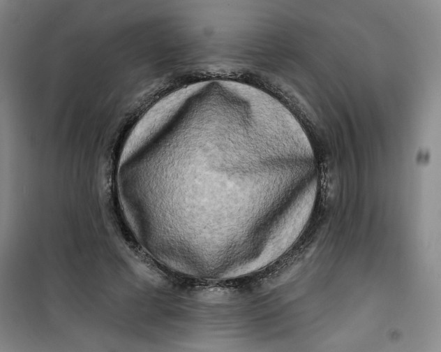 X0000100970593200807151353