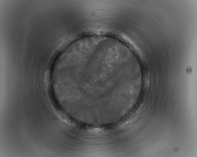X0000100970594200807151353