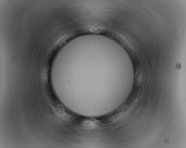 X0000100970595200807151353