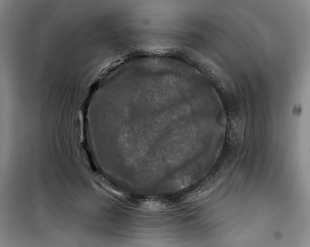 X0000100970596200807151353