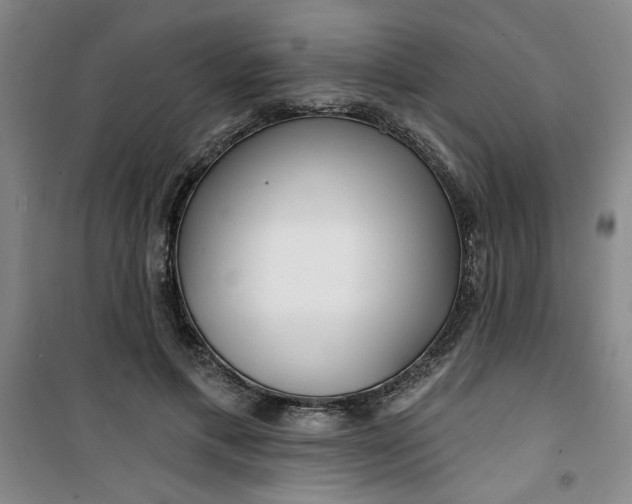 X0000100970597200807151353