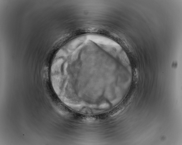 X0000100970598200807151353