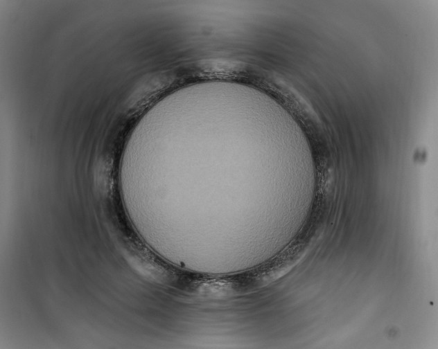 X0000100970599200807151353