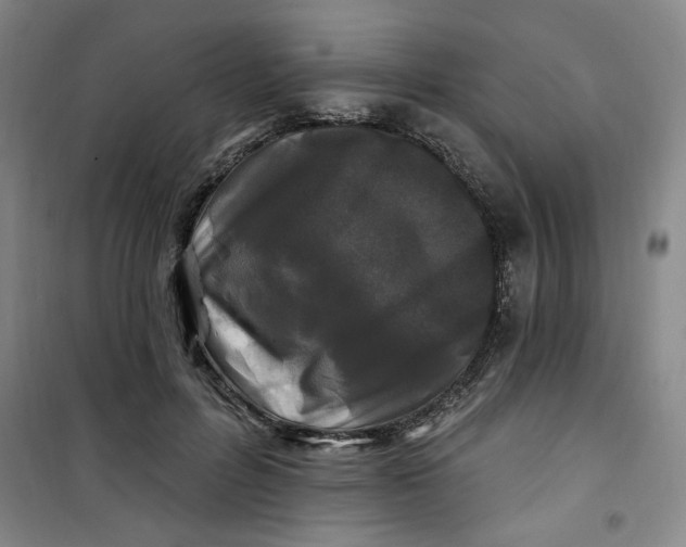 X0000100970600200807151353