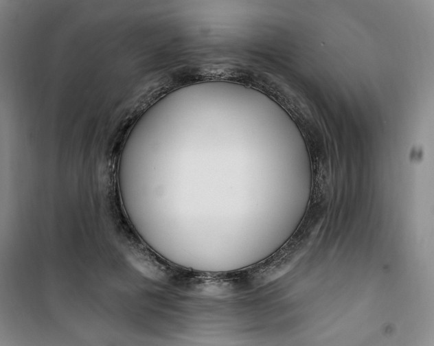 X0000100970601200807151353