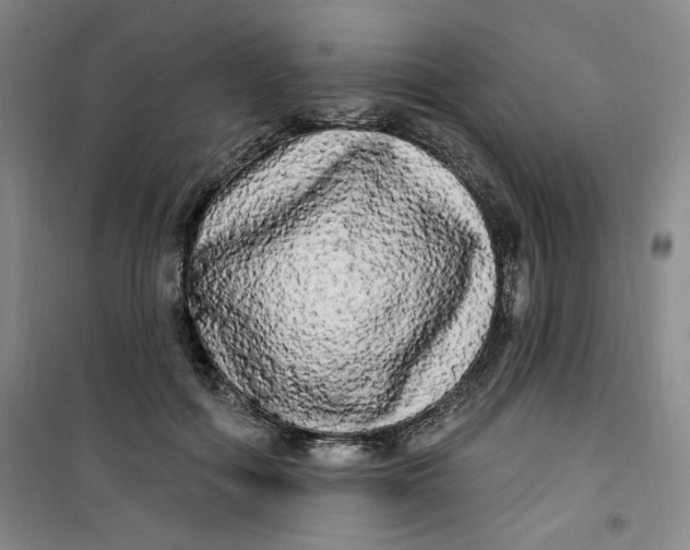 X0000100970602200807151353