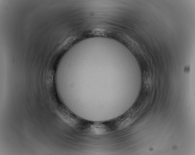 X0000100970603200807151353