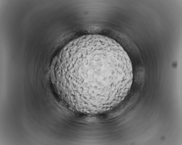 X0000100970604200807151353