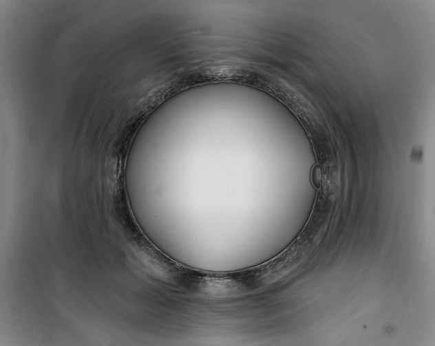 X0000100970605200807151353