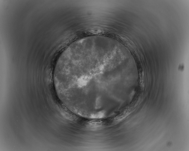 X0000100970606200807151353