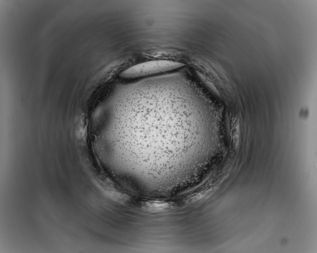 X0000100970607200807151353