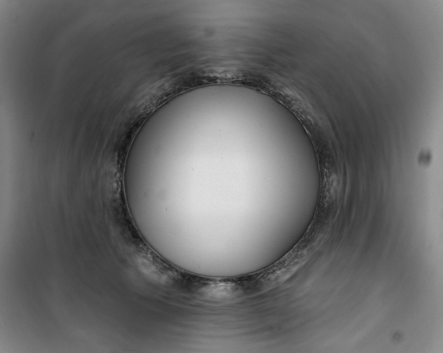 X0000100970609200807151353