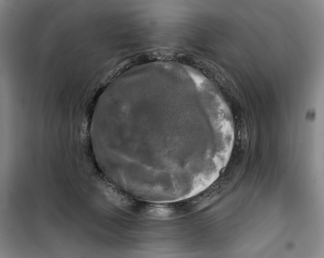 X0000100970610200807151353