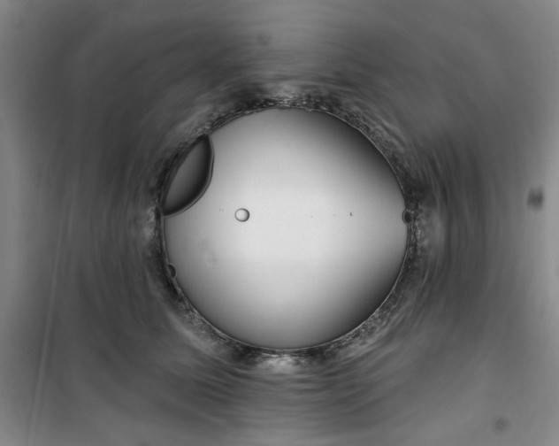 X0000100970611200807151353