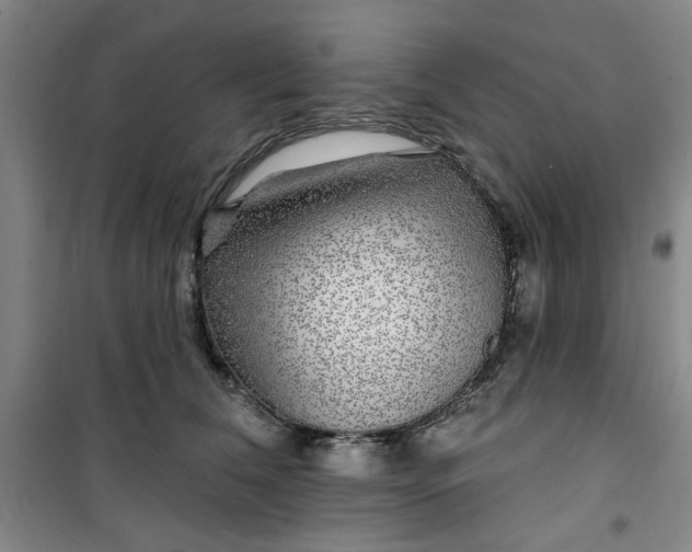 X0000100970612200807151353